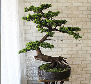 Купить дерево для ресторана, Япона Хата