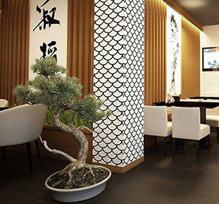 Купить бонсай дерево для японского ресторана, Киев, Днепр, Харьков