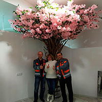 Декоративное дерево в салоне красоты, Днепр