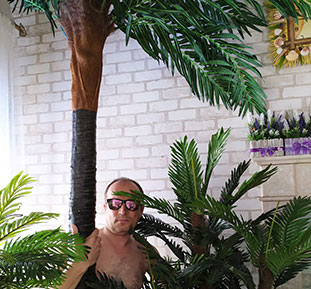 Купить экзотические пальмы для летнего кафе