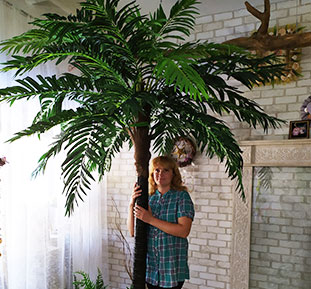 Купить декоративные пальмы и растения для бассейна