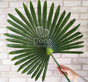 Купить пальмовые листья для фотозоны и фотосъемки