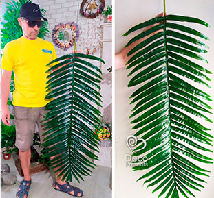 Купить листья пальмы  для фотосъемки, Киев, Днепр, Одесса