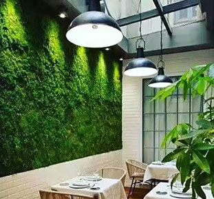 Вертикальное озеленение, декоративные зеленые стены, купить Украина