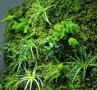 Вертикальное озеленение, зеленые стены из искусственных растений