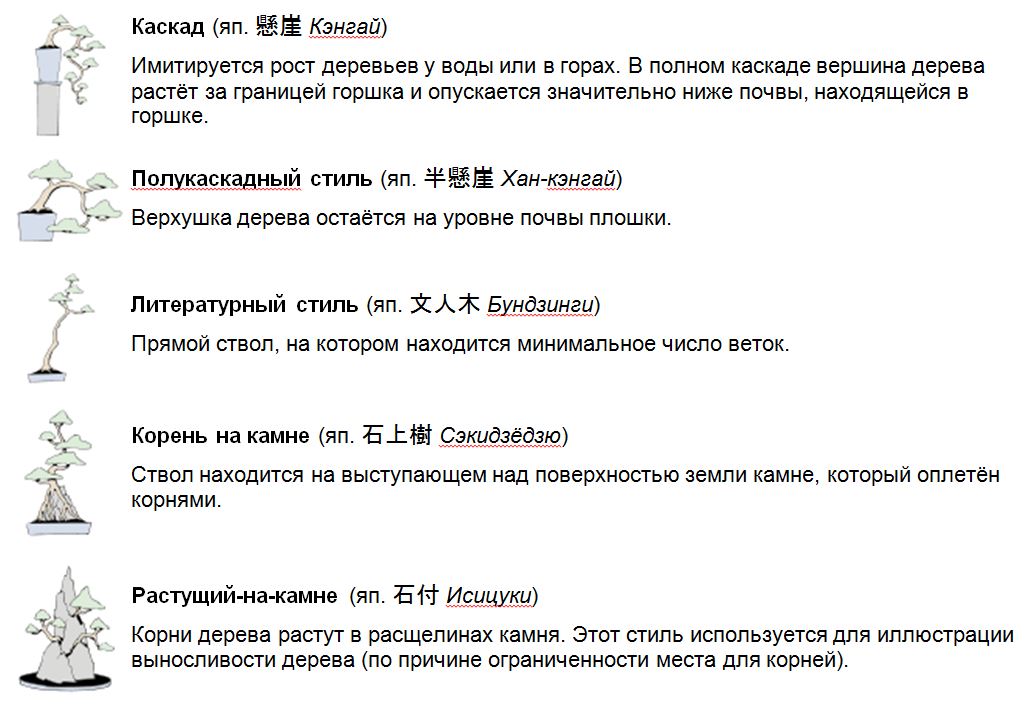 Стили бонсай