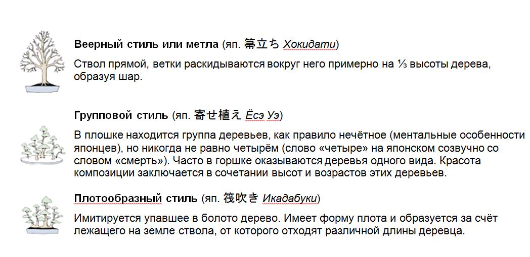 Стили бонсай